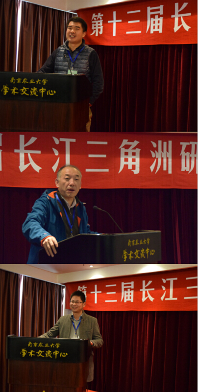 QQ截图20151130114602